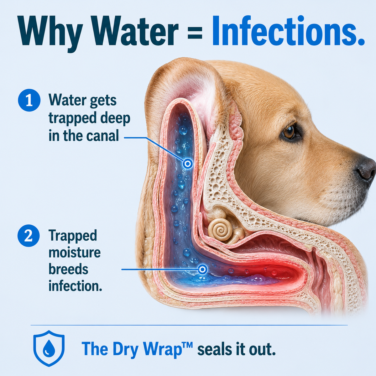 The Dry Wrap™